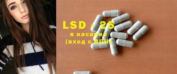стаф Алзамай