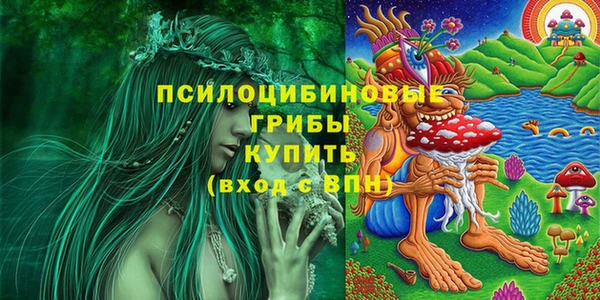 стаф Алзамай