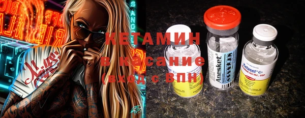 стаф Алзамай