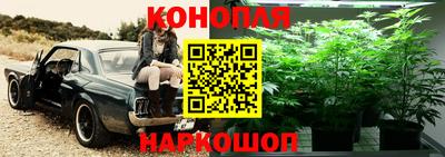 тгк Коммунар