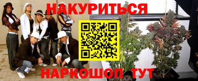сатива Тверь
