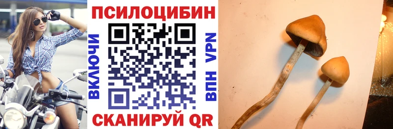 Галлюциногенные грибы мухоморы Туймазы