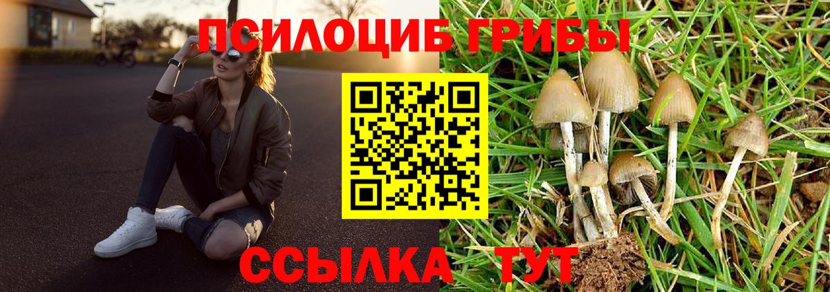 Галлюциногенные грибы MAGIC MUSHROOMS  Галлюциногенные грибы ЛСД  Туймазы  Вход с VPN 