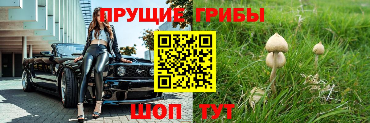 Псилоцибиновые грибы Psilocybine cubensis Туймазы